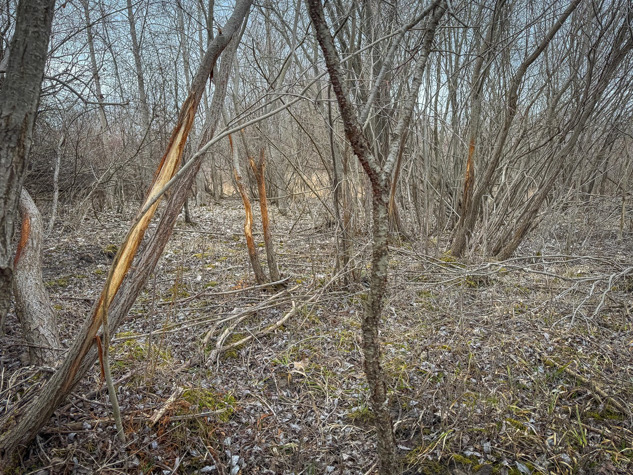 S Crawford Road, Mount Pleasant, MI, 48858