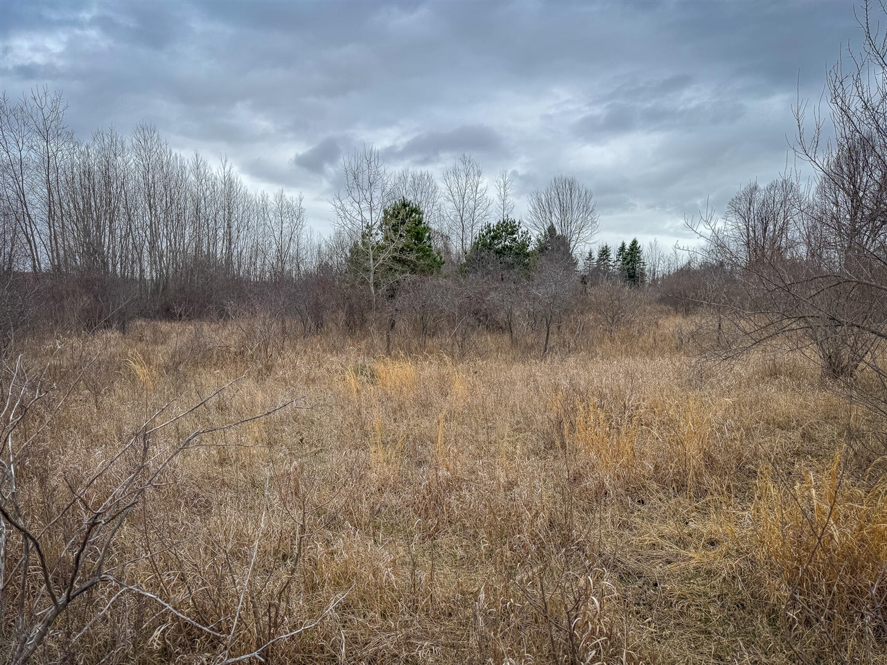 S Crawford Road, Mount Pleasant, MI, 48858