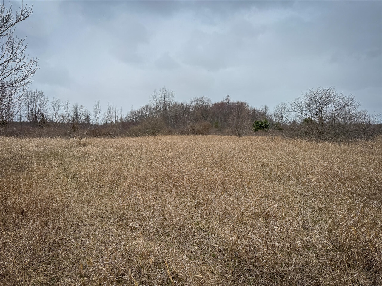 S Crawford Road, Mount Pleasant, MI, 48858