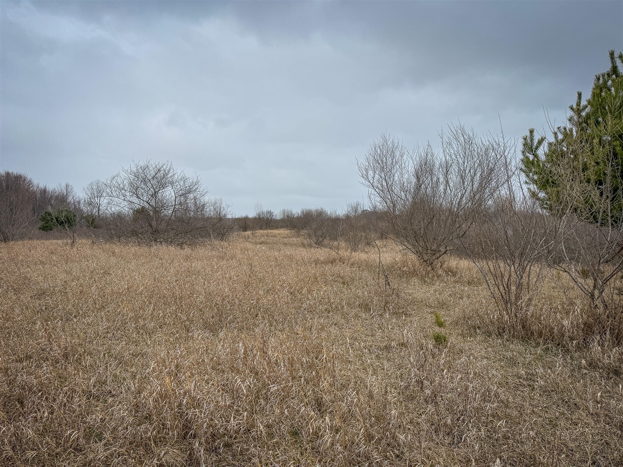 S Crawford Road, Mount Pleasant, MI, 48858