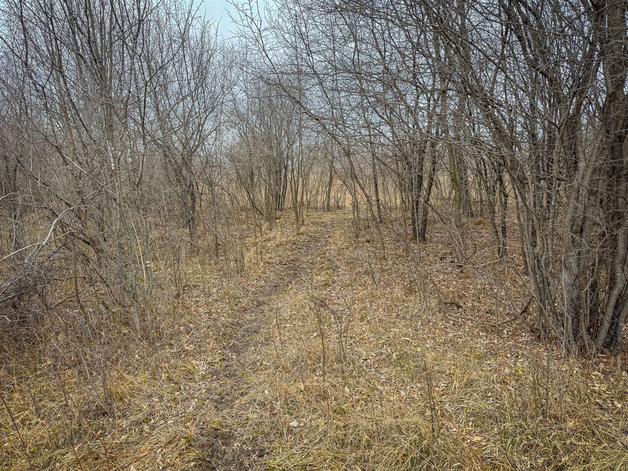 S Crawford Road, Mount Pleasant, MI, 48858