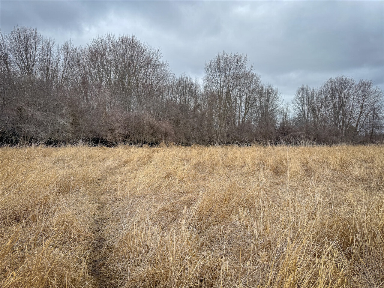 S Crawford Road, Mount Pleasant, MI, 48858