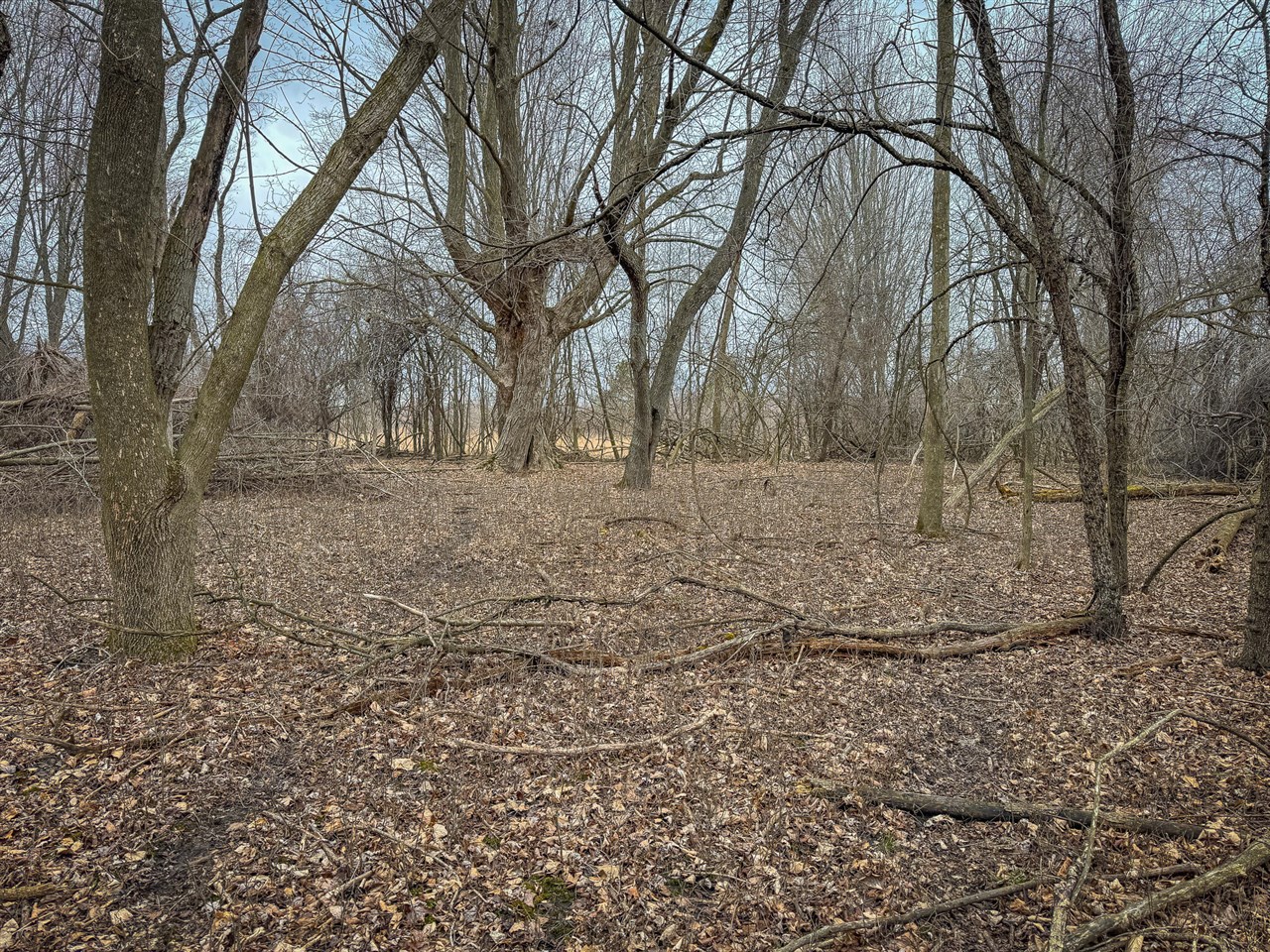 S Crawford Road, Mount Pleasant, MI, 48858
