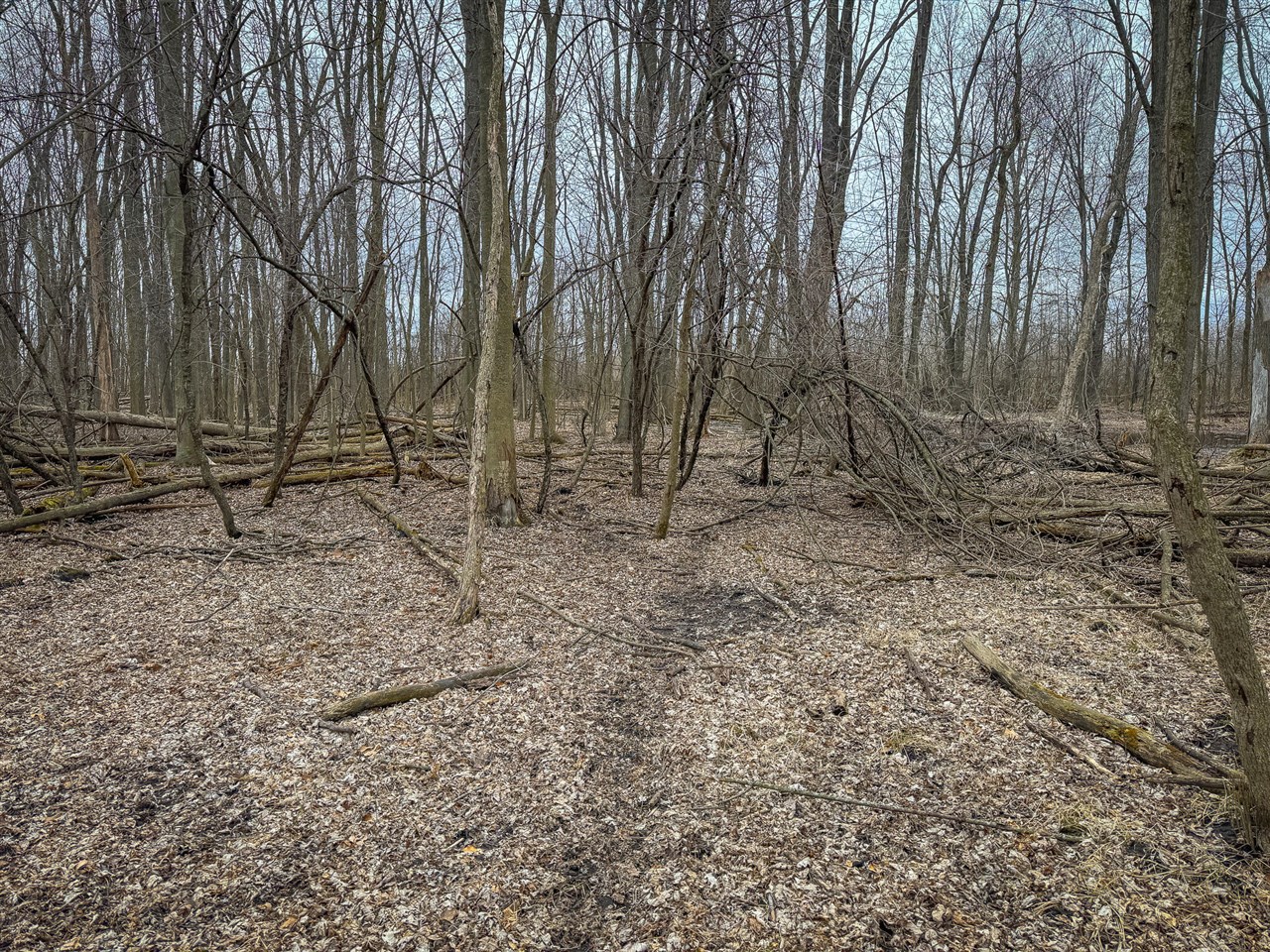 S Crawford Road, Mount Pleasant, MI, 48858