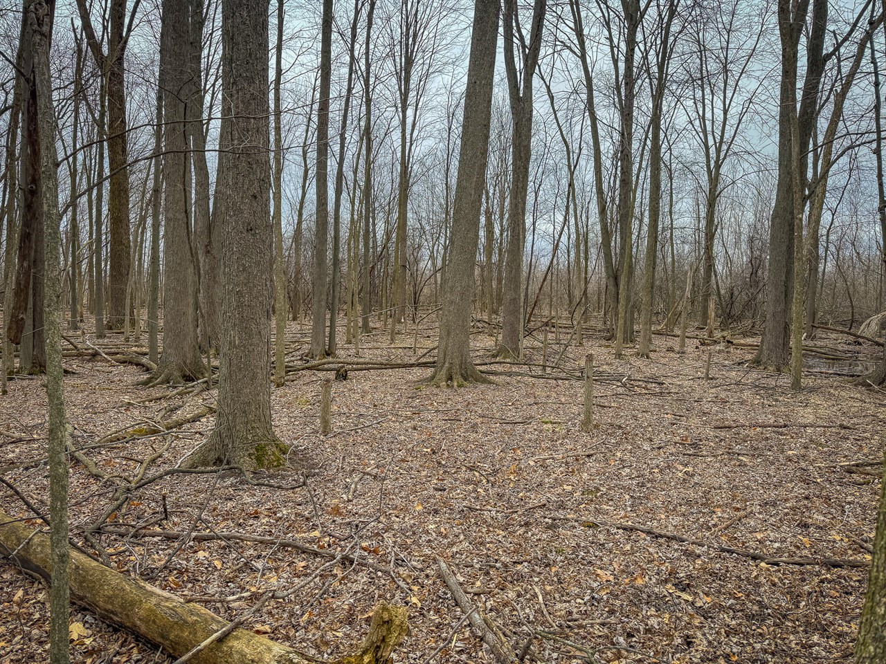 S Crawford Road, Mount Pleasant, MI, 48858