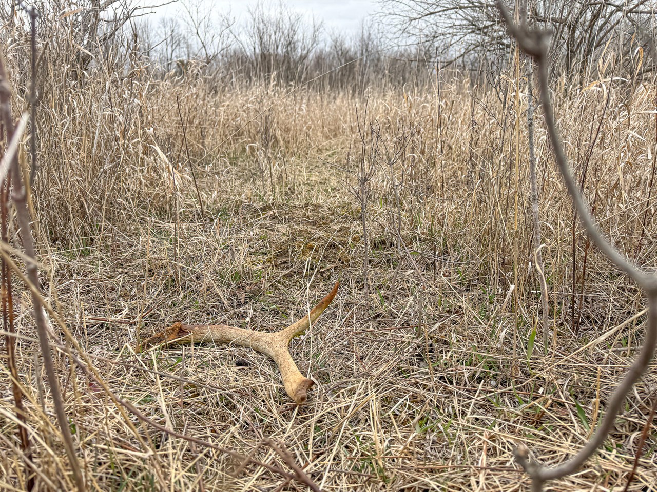 S Crawford Road, Mount Pleasant, MI, 48858