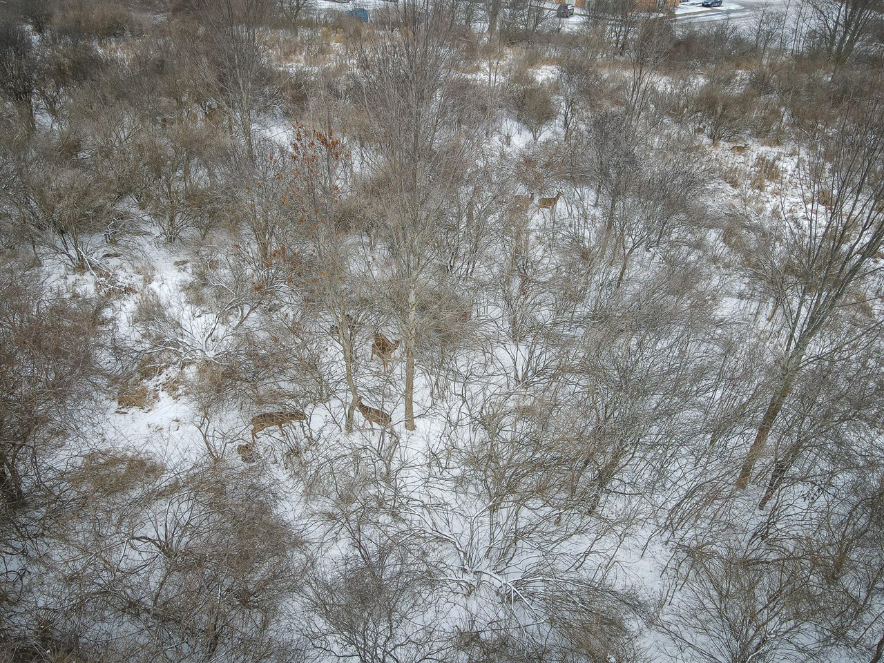 S Crawford Road, Mount Pleasant, MI, 48858