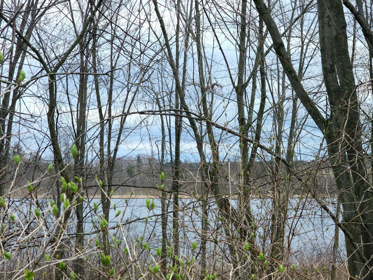 2nd image of Tbd N Derby Rd, Six Lakes, MI 48886 | MLS# 70501389