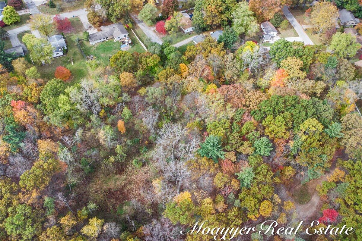 632 Edgewood Drive, Belding, MI, 48809-2106