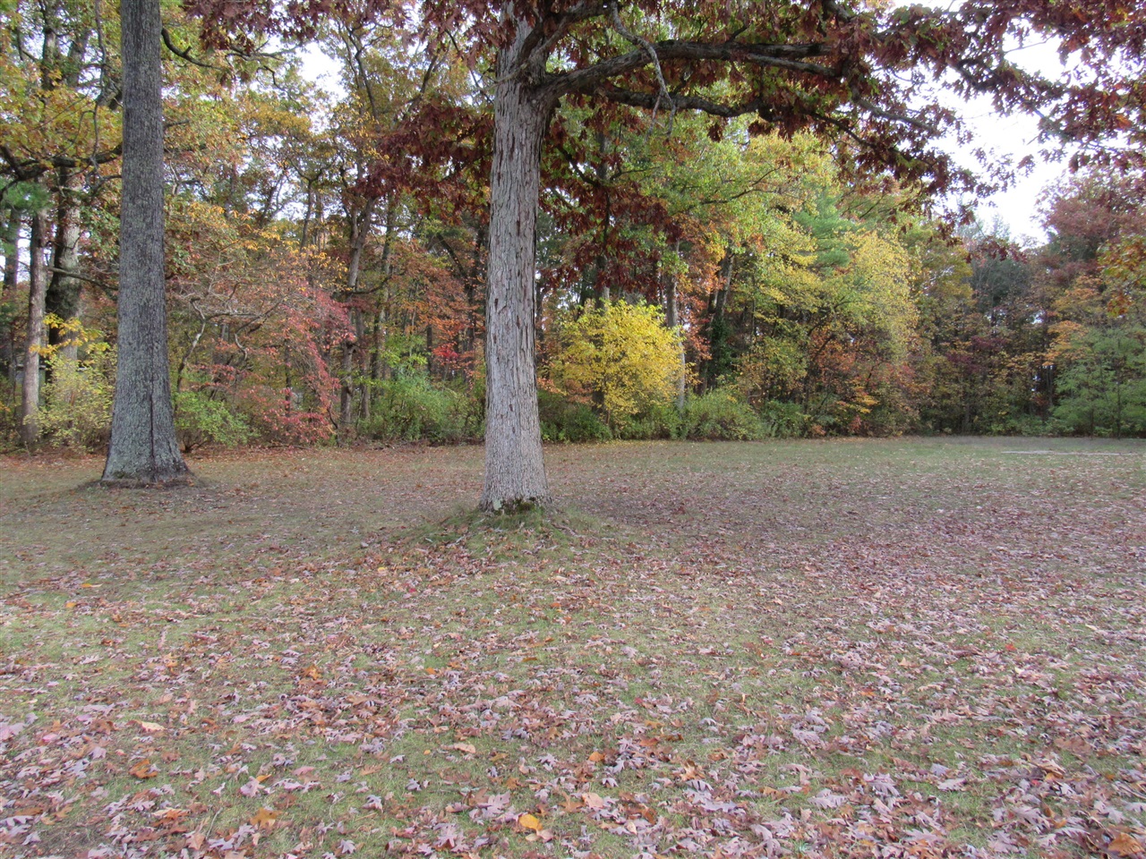 VL 18.68ac County Road 687, Bangor, MI, 49013