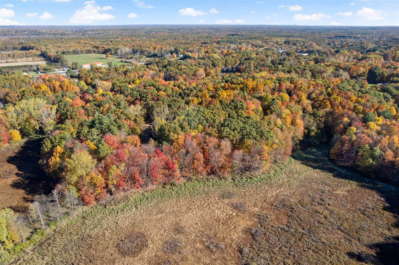 11377 Angel Woods Drive, Rockford, MI, 49341