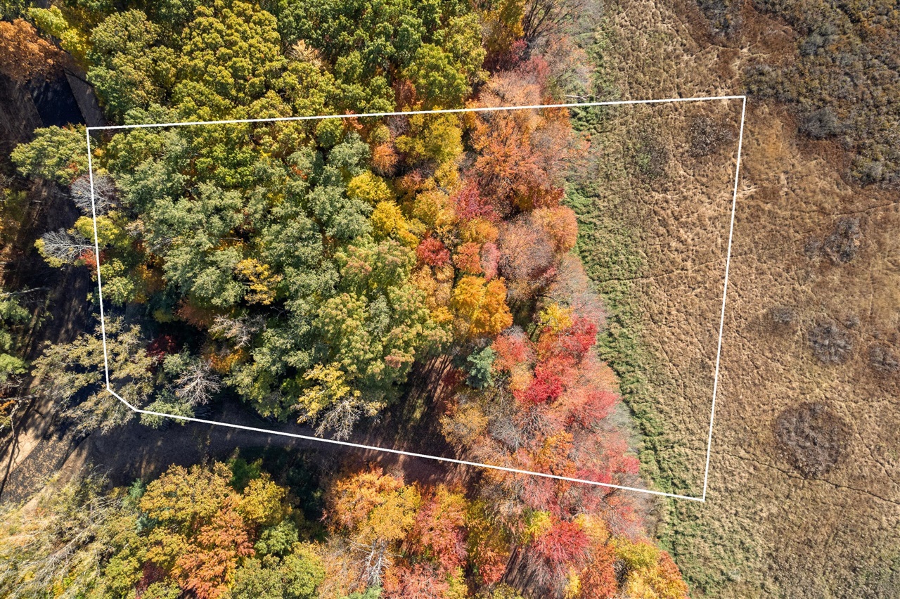 11377 Angel Woods Drive, Rockford, MI, 49341