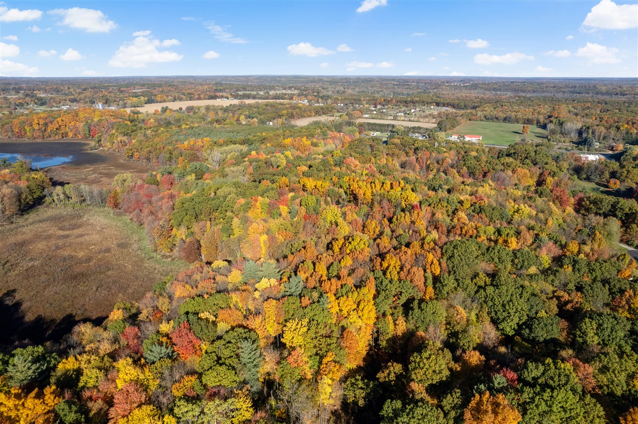 11377 Angel Woods Drive, Rockford, MI, 49341