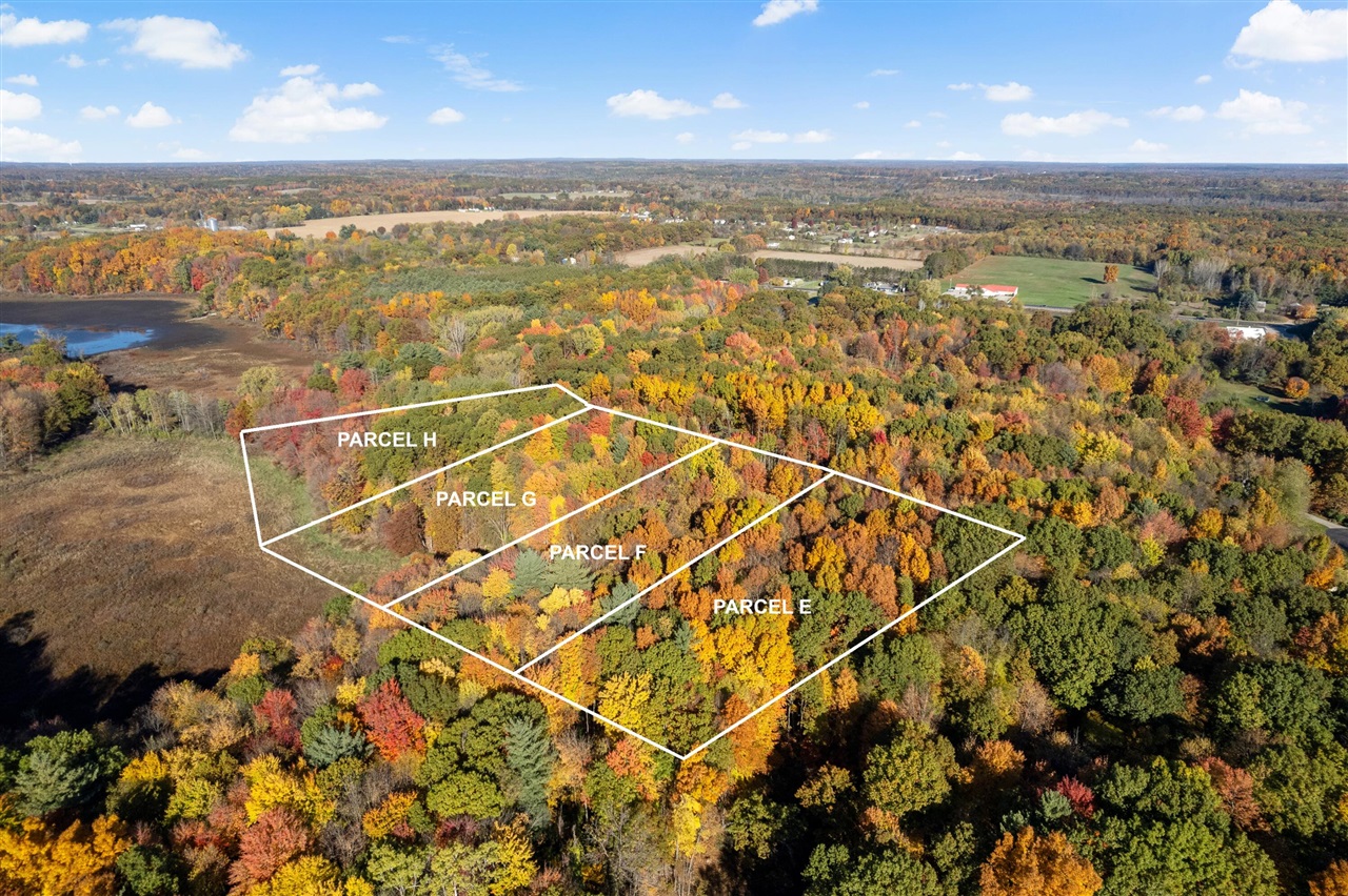 11377 Angel Woods Drive, Rockford, MI, 49341