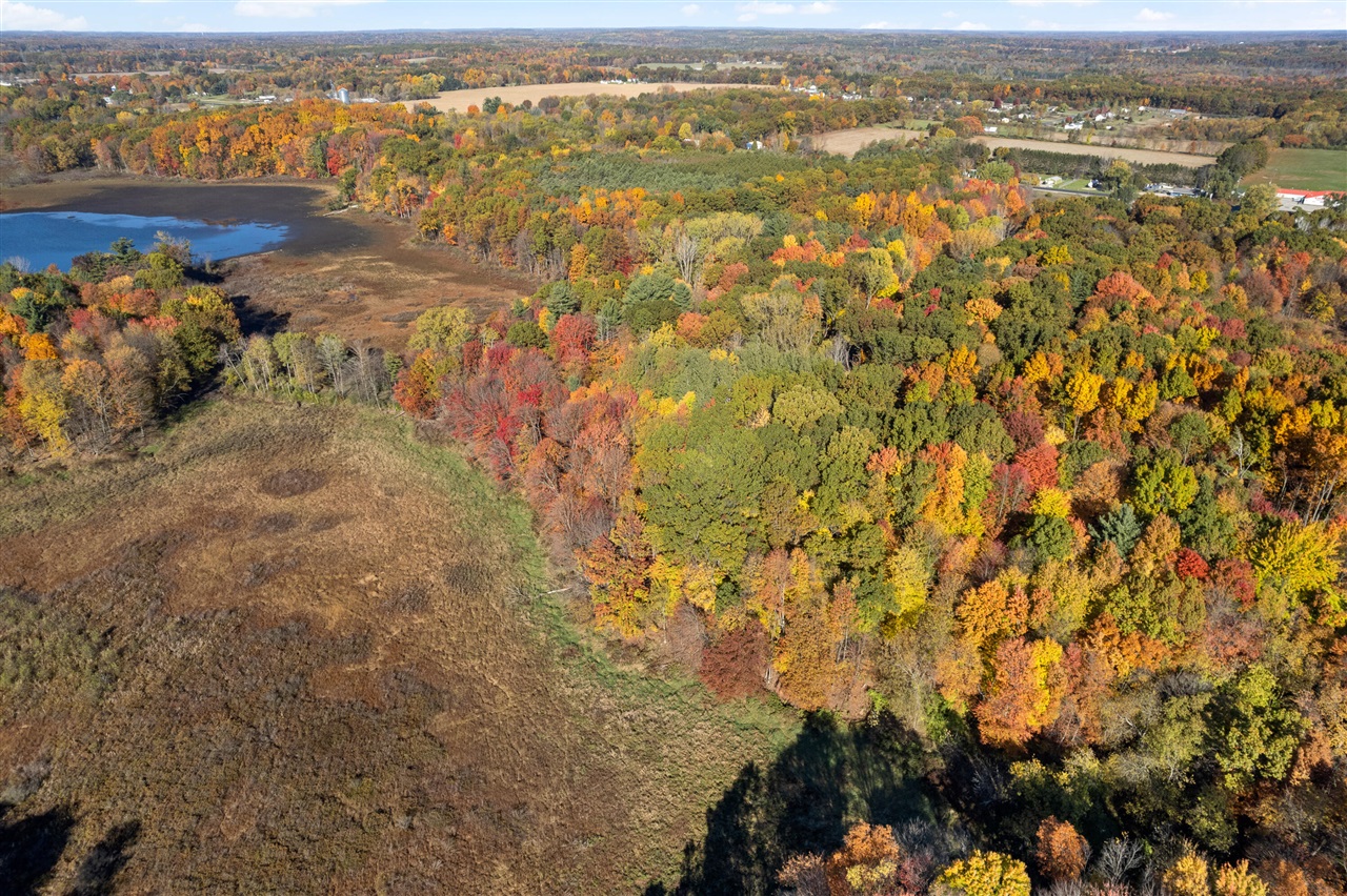 11377 Angel Woods Drive, Rockford, MI, 49341