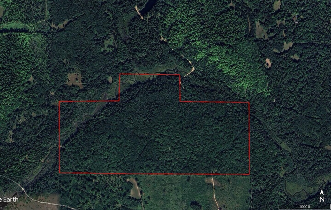 22006 Bowden Trail, Hillman, MI, 49746