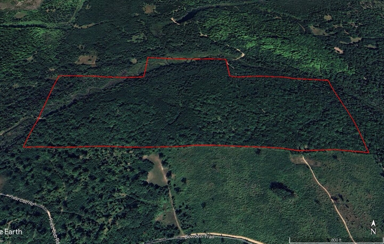 22006 Bowden Trail, Hillman, MI, 49746