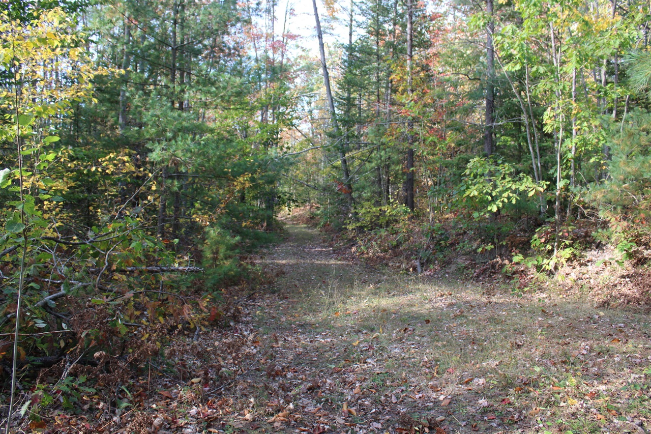 22006 Bowden Trail, Hillman, MI, 49746