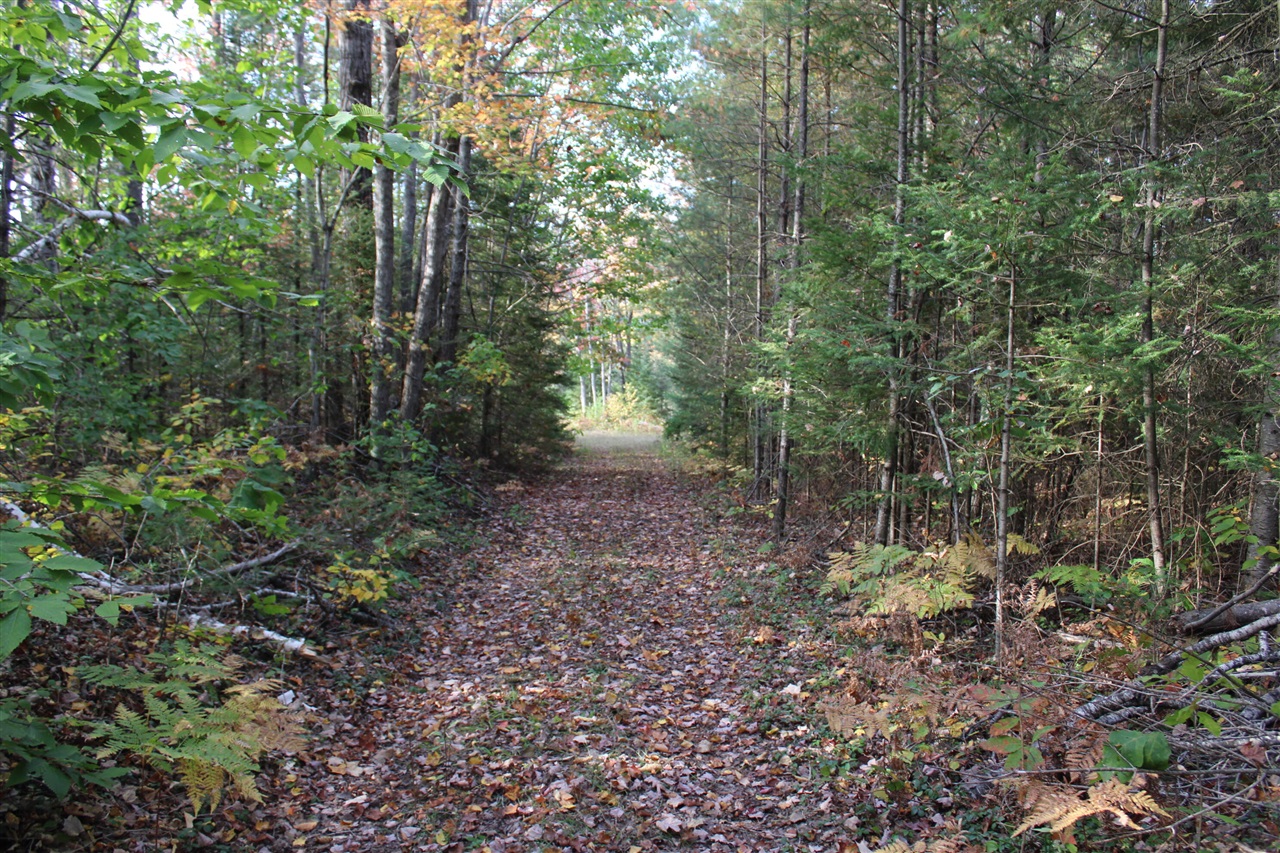 22006 Bowden Trail, Hillman, MI, 49746