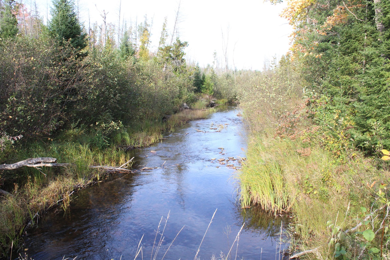 22006 Bowden Trail, Hillman, MI, 49746