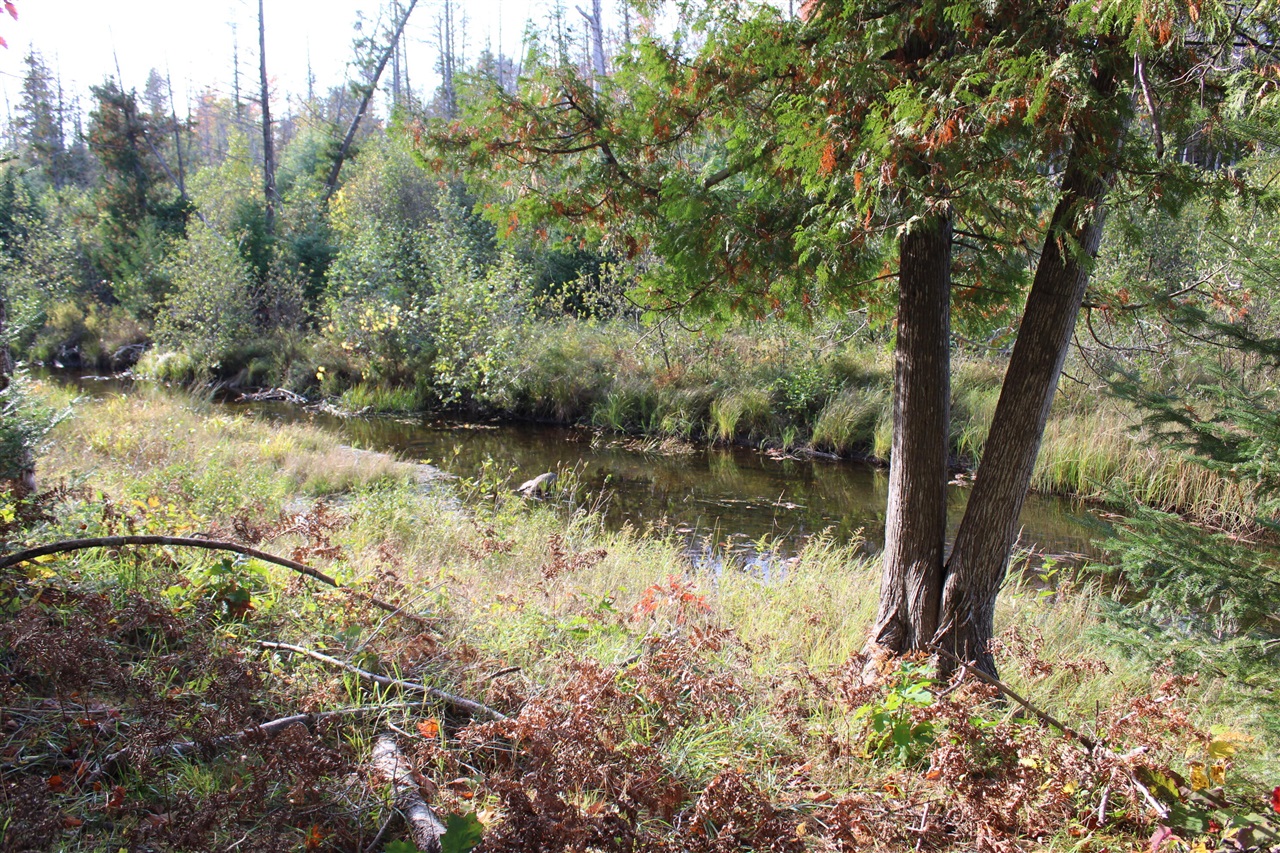 22006 Bowden Trail, Hillman, MI, 49746