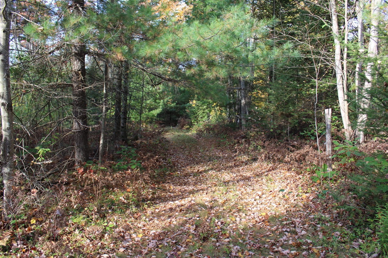 22006 Bowden Trail, Hillman, MI, 49746