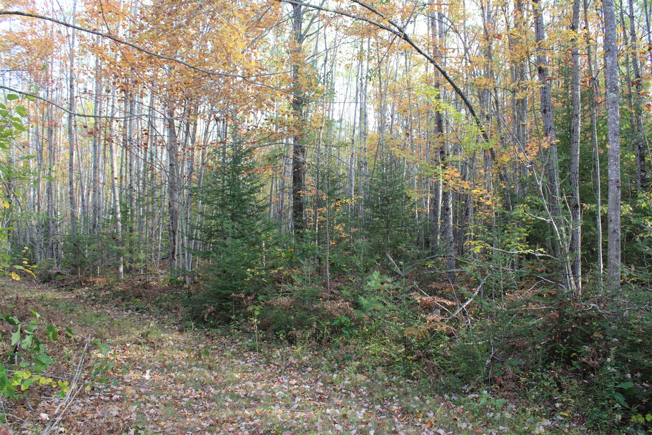 22006 Bowden Trail, Hillman, MI, 49746