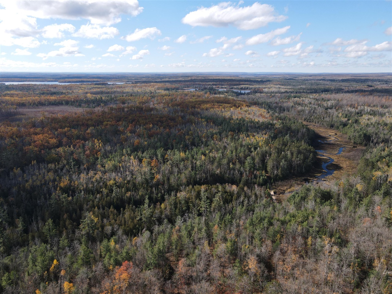 22006 Bowden Trail, Hillman, MI, 49746