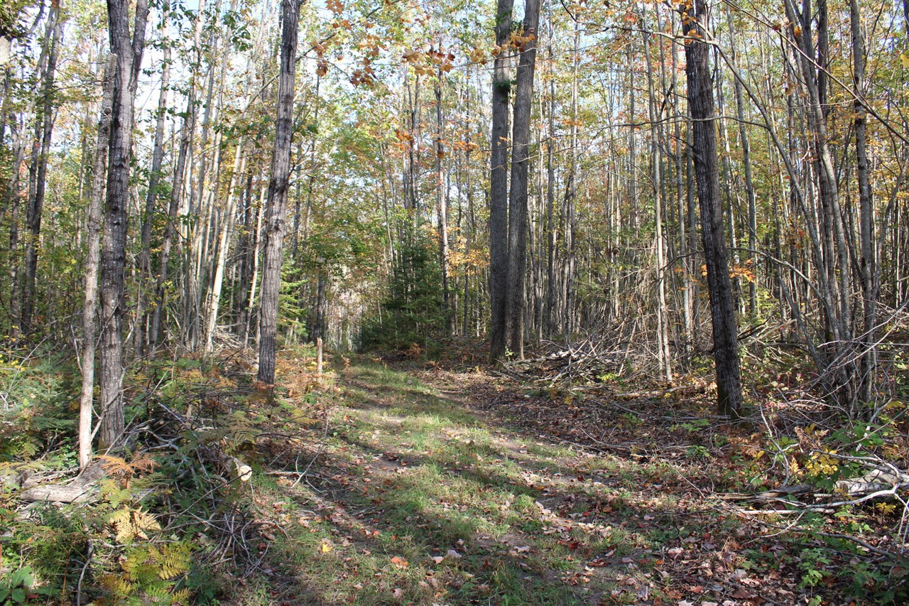 22006 Bowden Trail, Hillman, MI, 49746