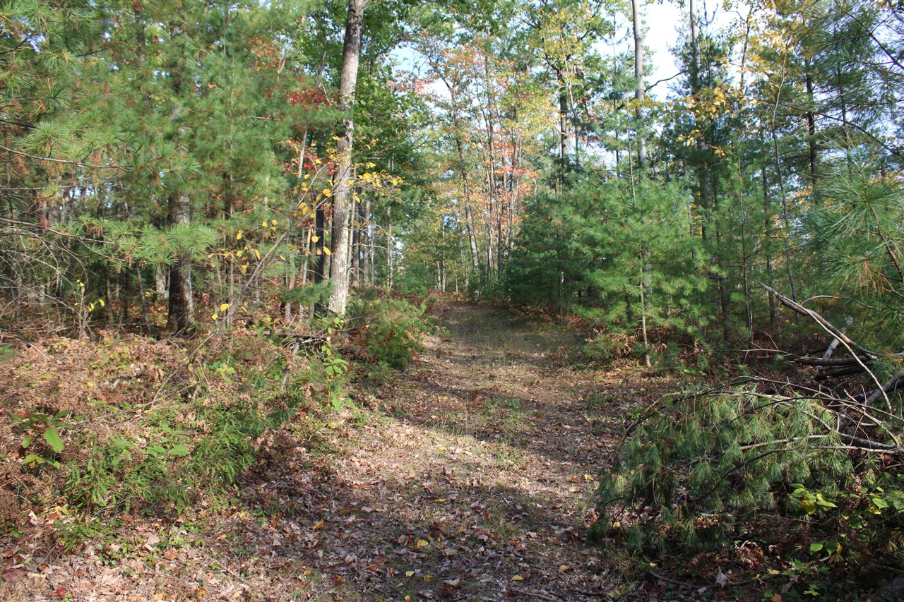 22006 Bowden Trail, Hillman, MI, 49746