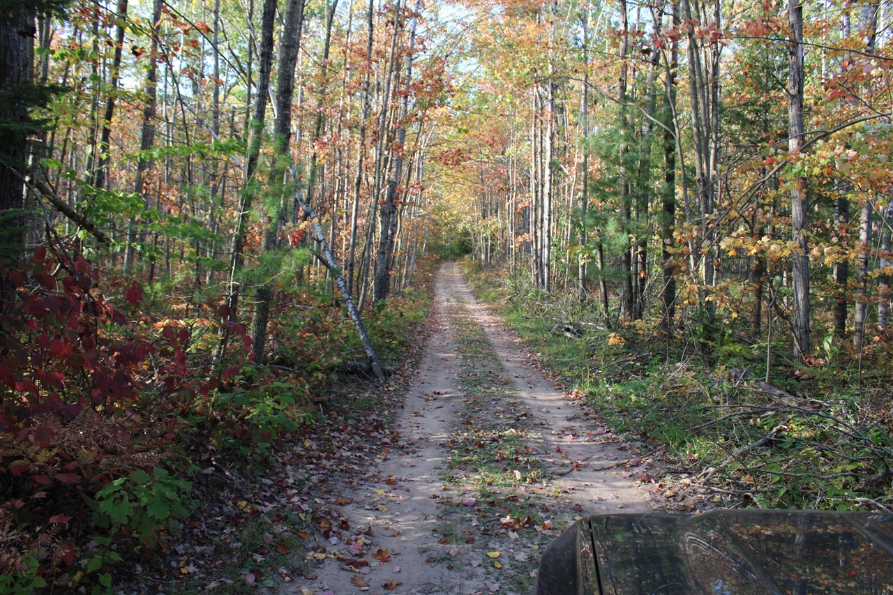 22006 Bowden Trail, Hillman, MI, 49746