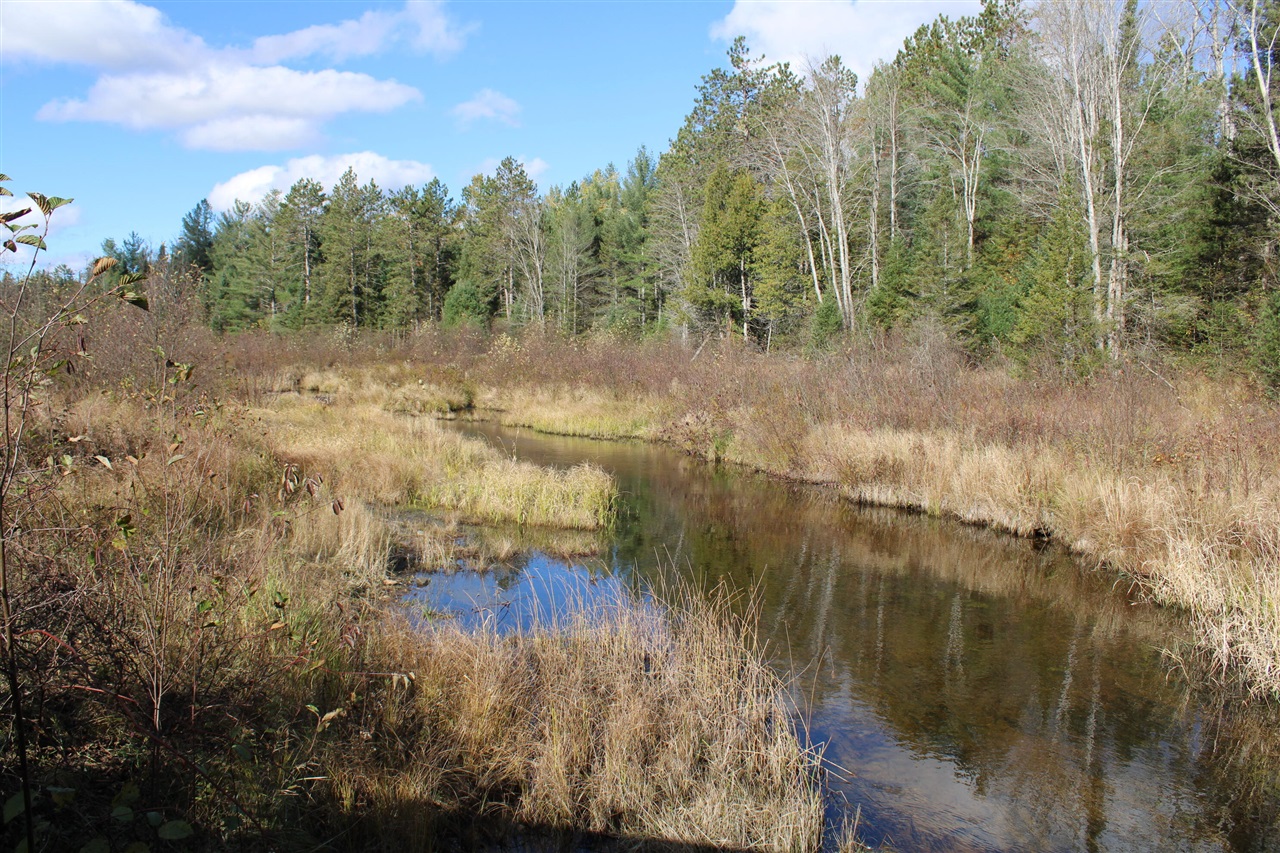 22006 Bowden Trail, Hillman, MI, 49746