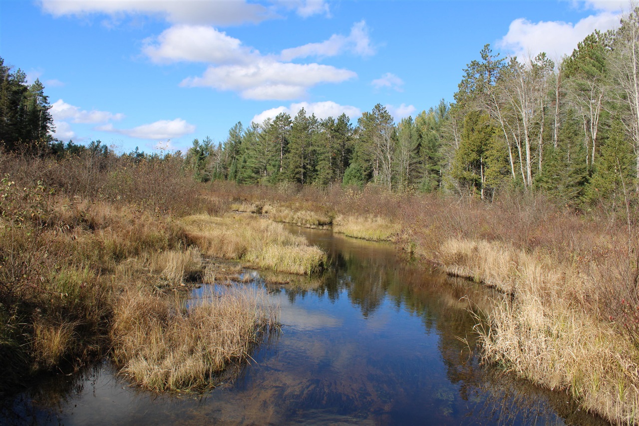 22006 Bowden Trail, Hillman, MI, 49746