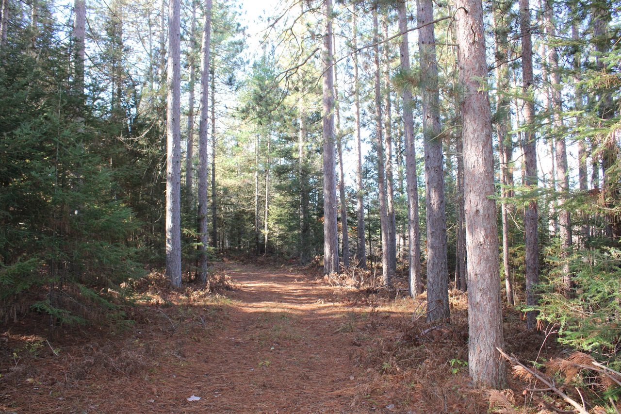 22006 Bowden Trail, Hillman, MI, 49746