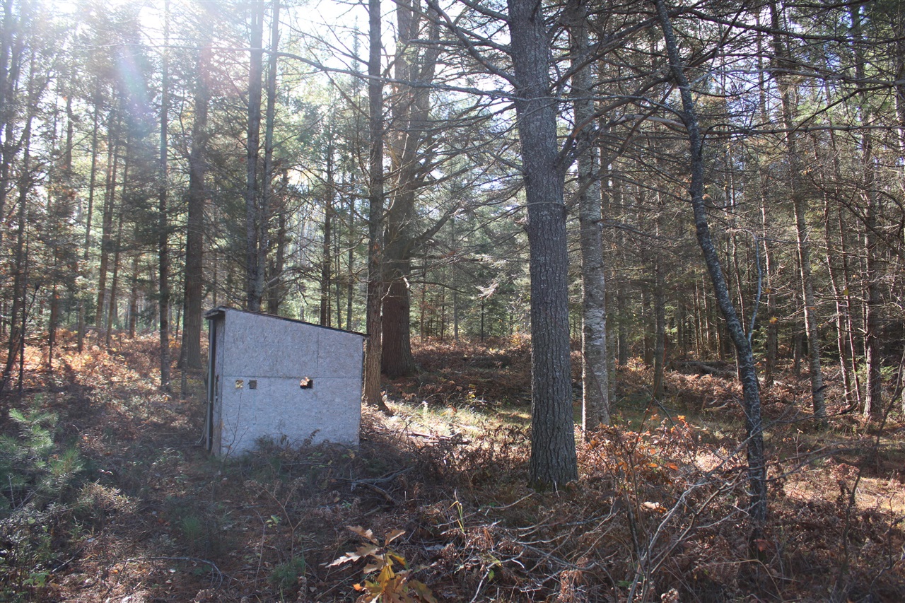 22006 Bowden Trail, Hillman, MI, 49746