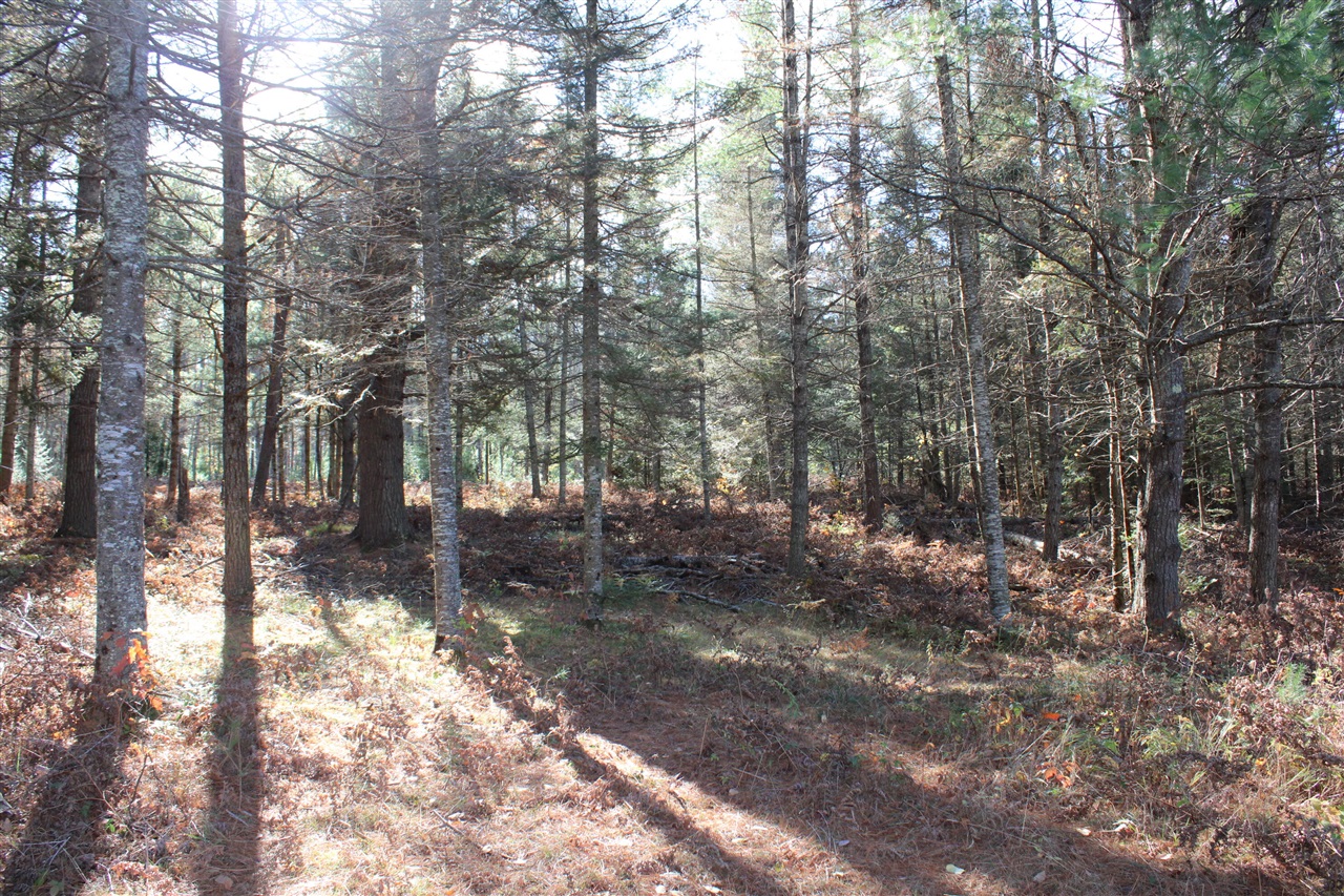 22006 Bowden Trail, Hillman, MI, 49746