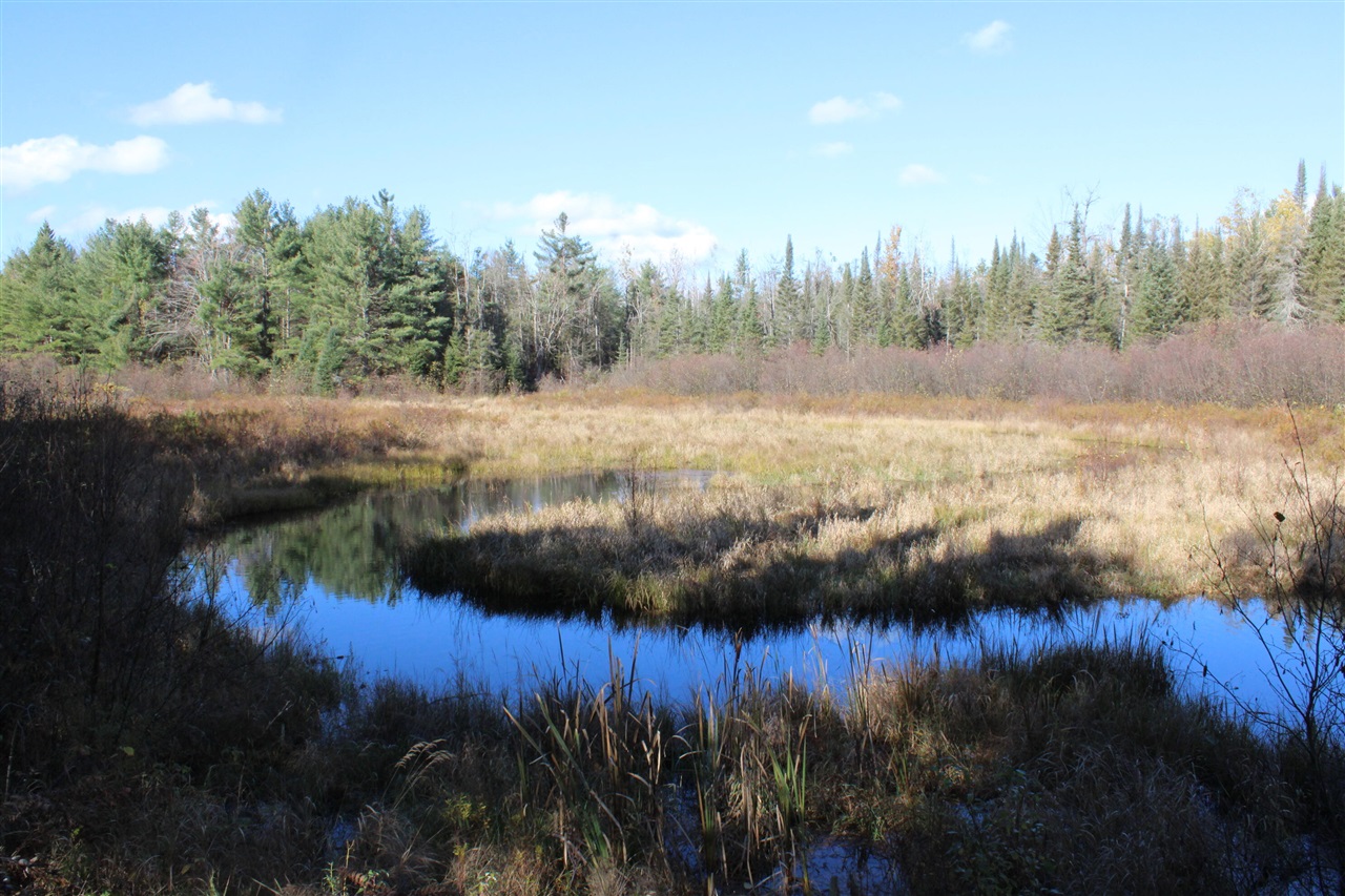 22006 Bowden Trail, Hillman, MI, 49746