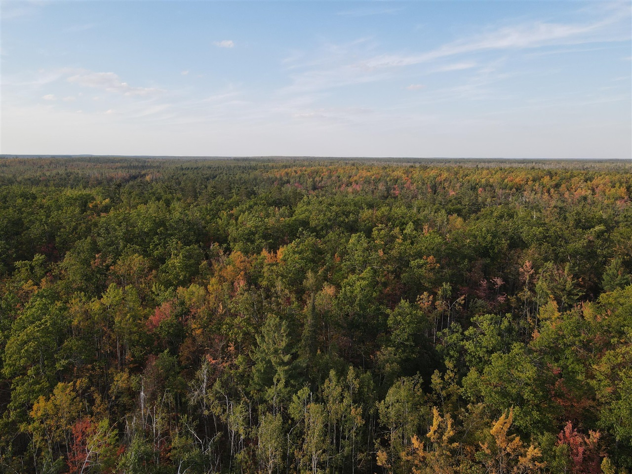 22006 Bowden Trail, Hillman, MI, 49746