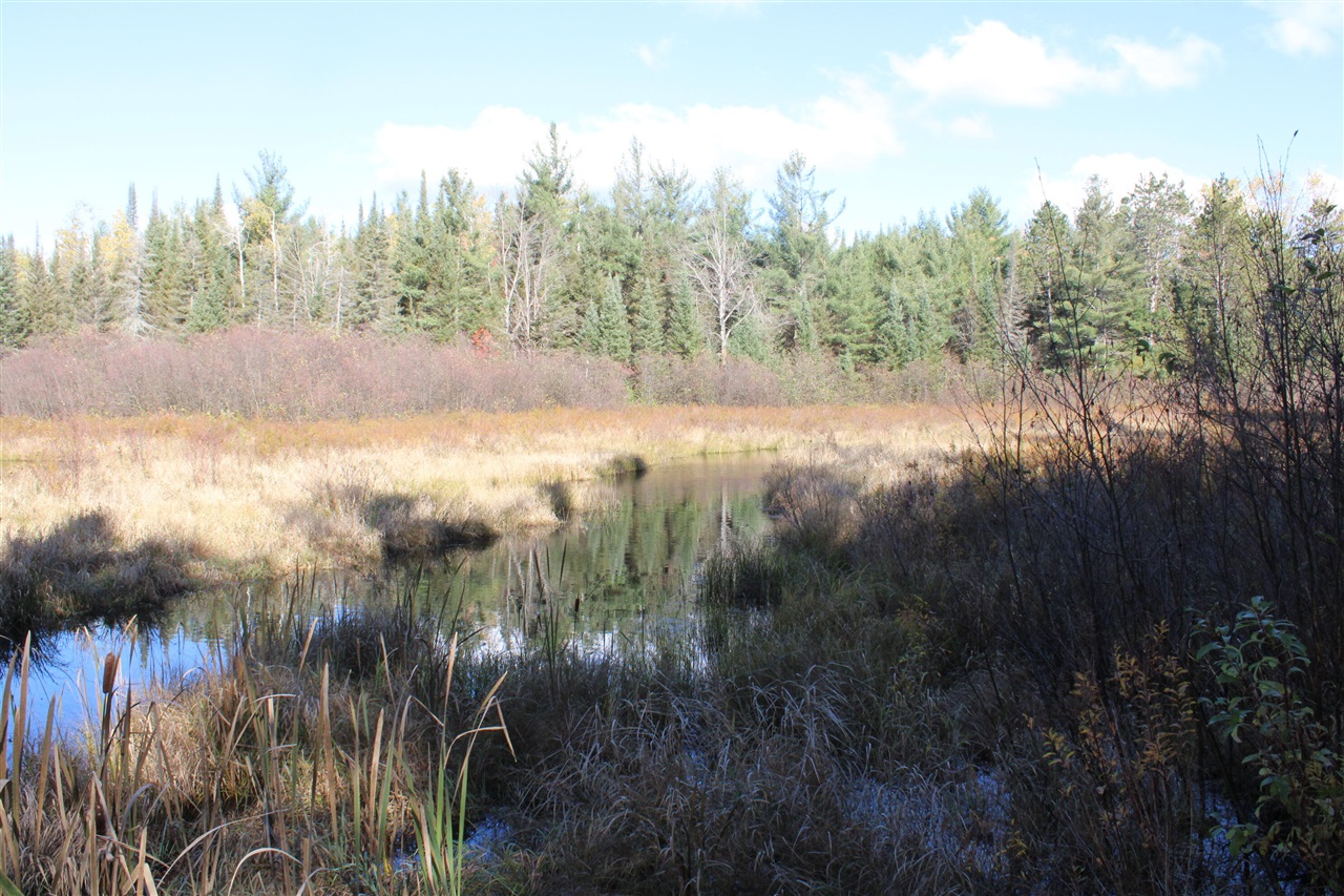 22006 Bowden Trail, Hillman, MI, 49746