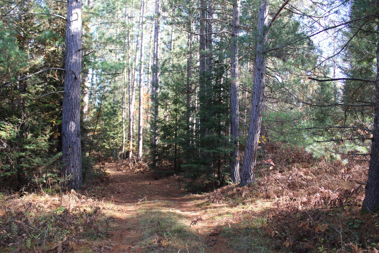 22006 Bowden Trail, Hillman, MI, 49746