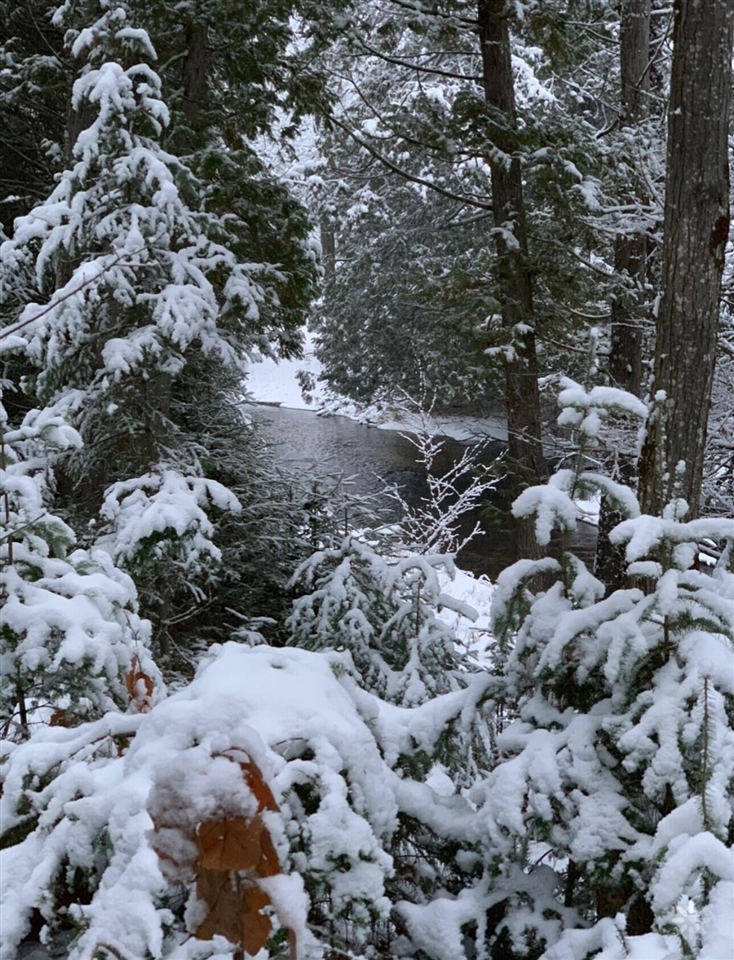 22006 Bowden Trail, Hillman, MI, 49746