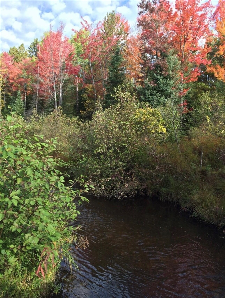 22006 Bowden Trail, Hillman, MI, 49746