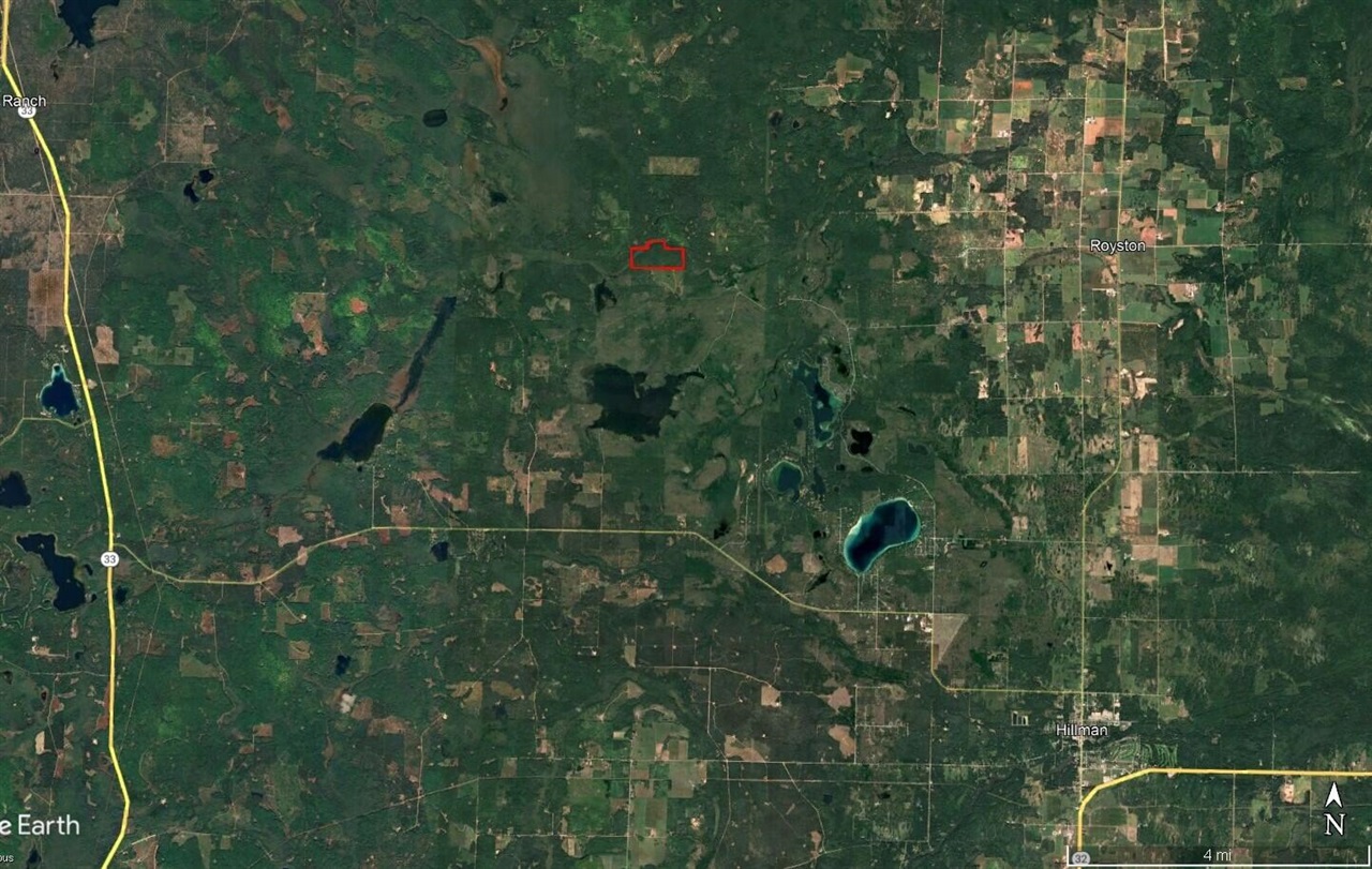 22006 Bowden Trail, Hillman, MI, 49746