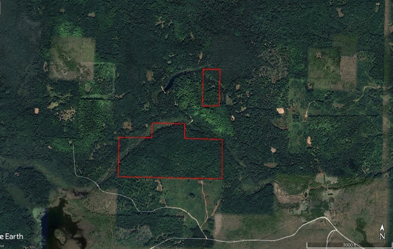 22006 Bowden Trail, Hillman, MI, 49746