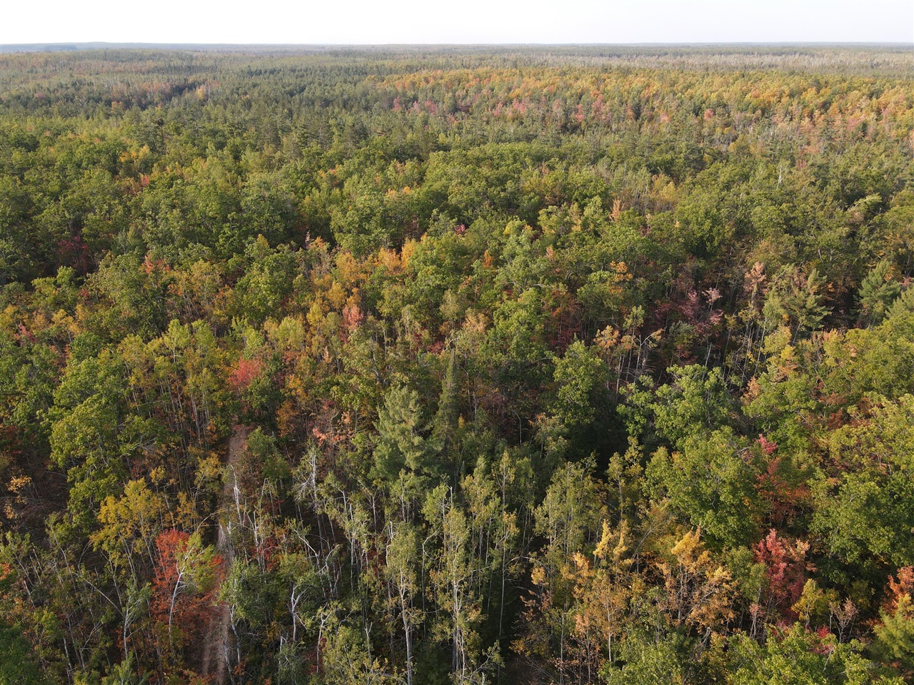 22006 Bowden Trail, Hillman, MI, 49746