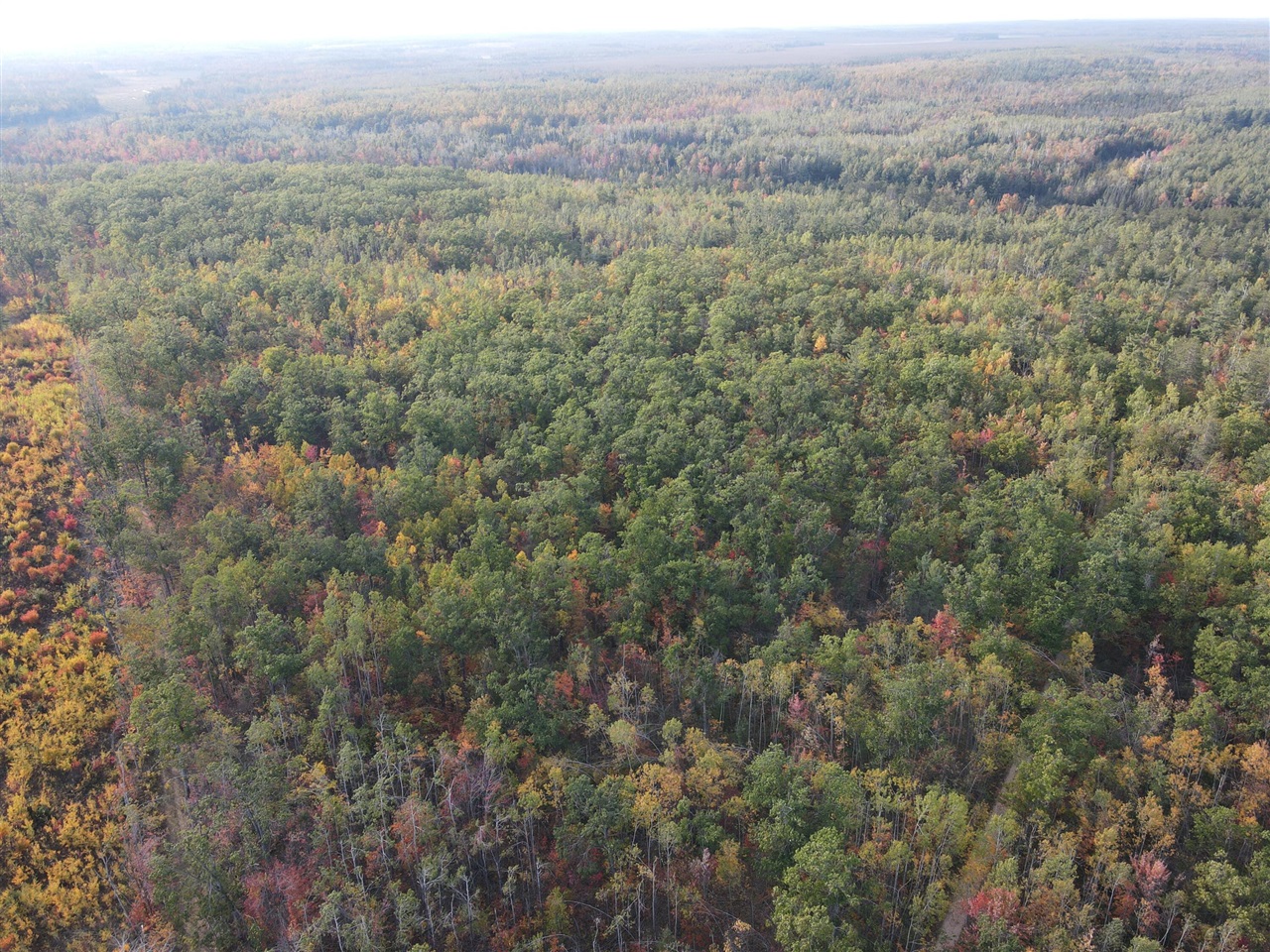 22006 Bowden Trail, Hillman, MI, 49746