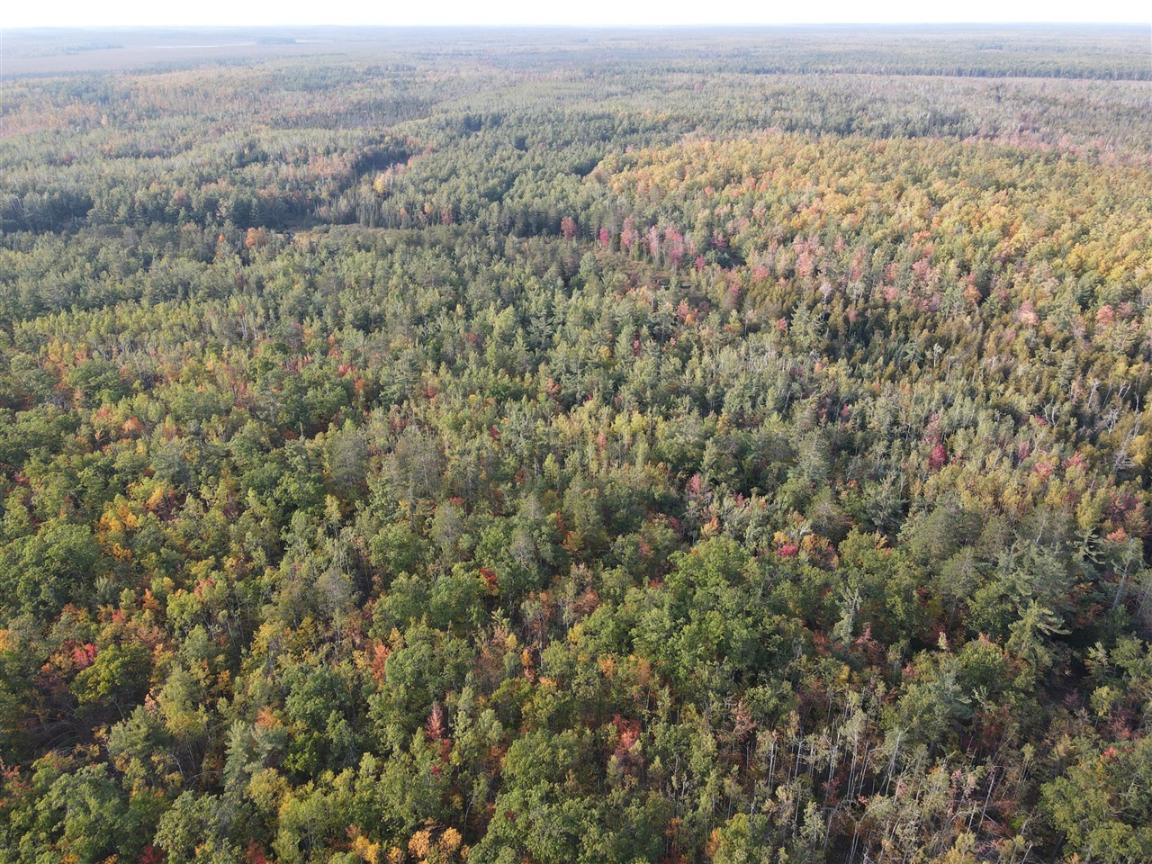 22006 Bowden Trail, Hillman, MI, 49746