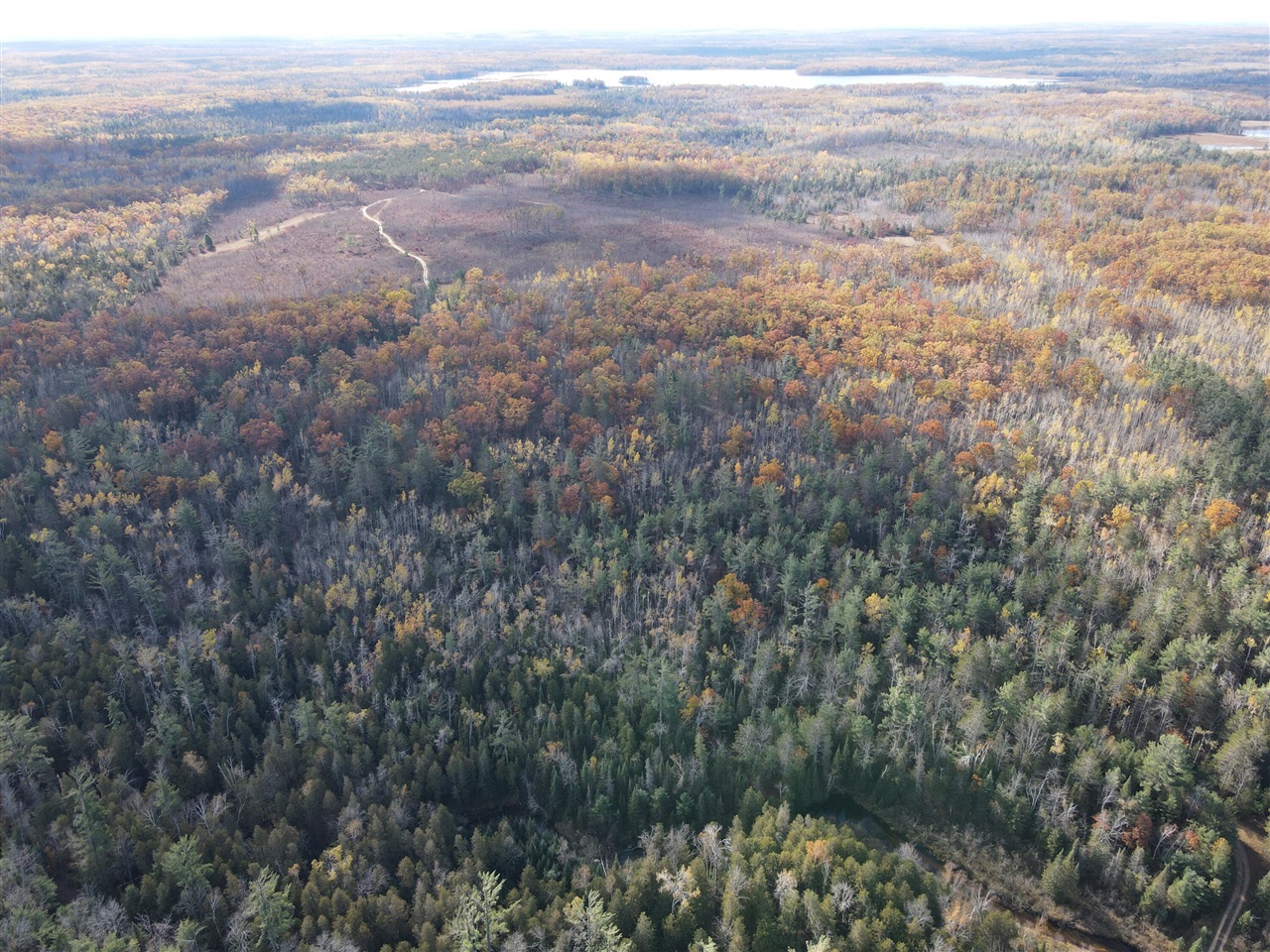 22006 Bowden Trail, Hillman, MI, 49746