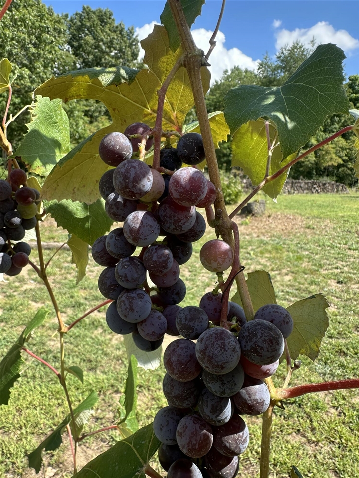 22942 M-43, Kalamazoo, MI, 49009