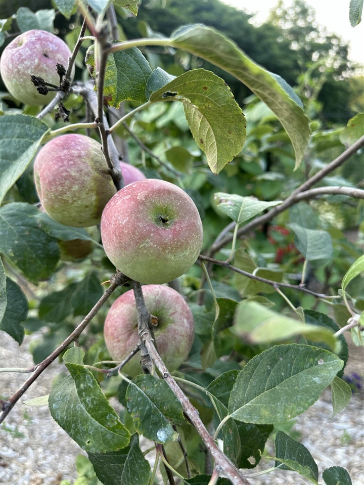 22942 M-43, Kalamazoo, MI, 49009